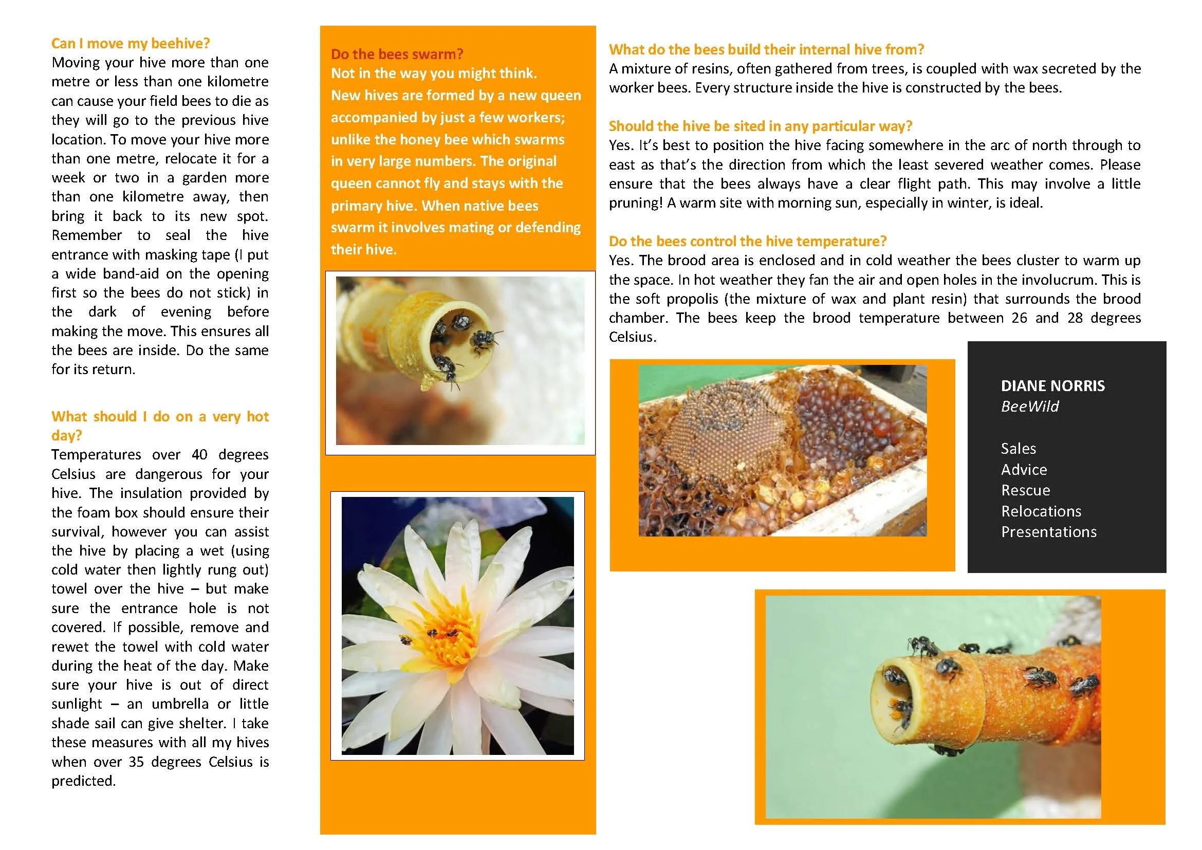 BEEWILD BEE BROCHURE_Page_2.jpg