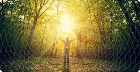 wisdom-light-md 2.jpg