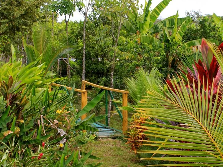 footpath.jpg