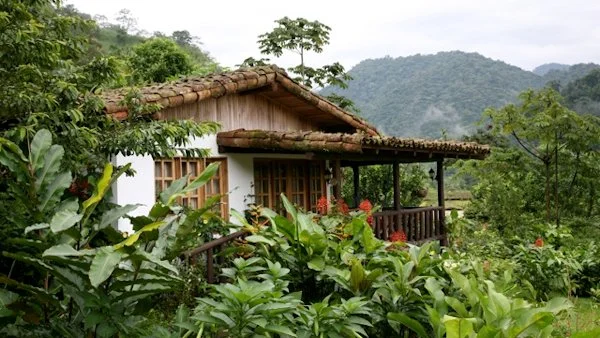 bungalow.jpg