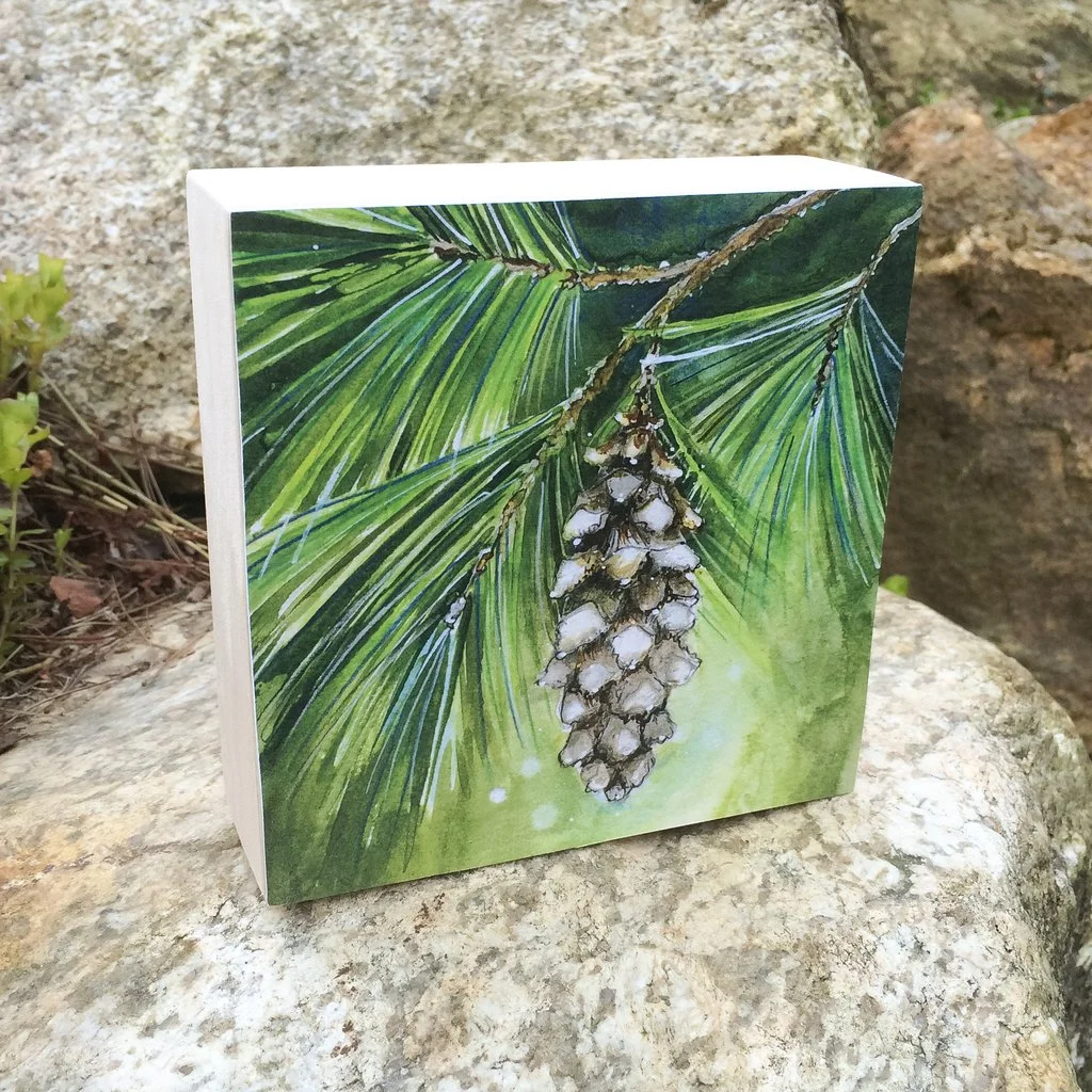 Soulflower_White_Pine_Print_1024x1024.jpg