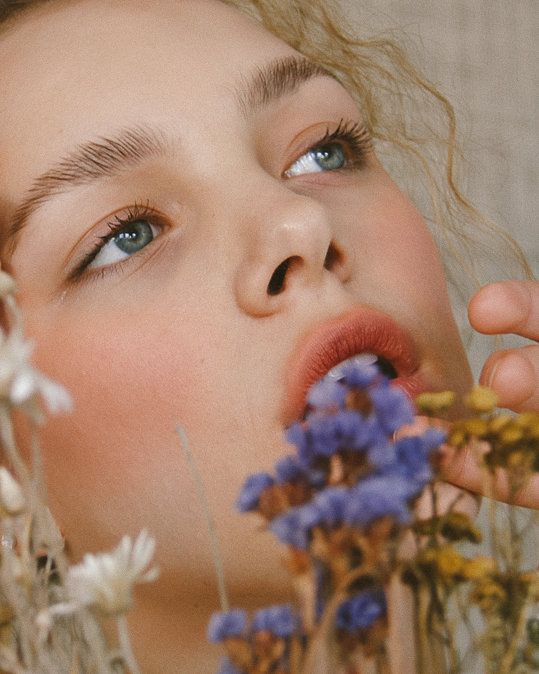 ella_flowers02.jpg