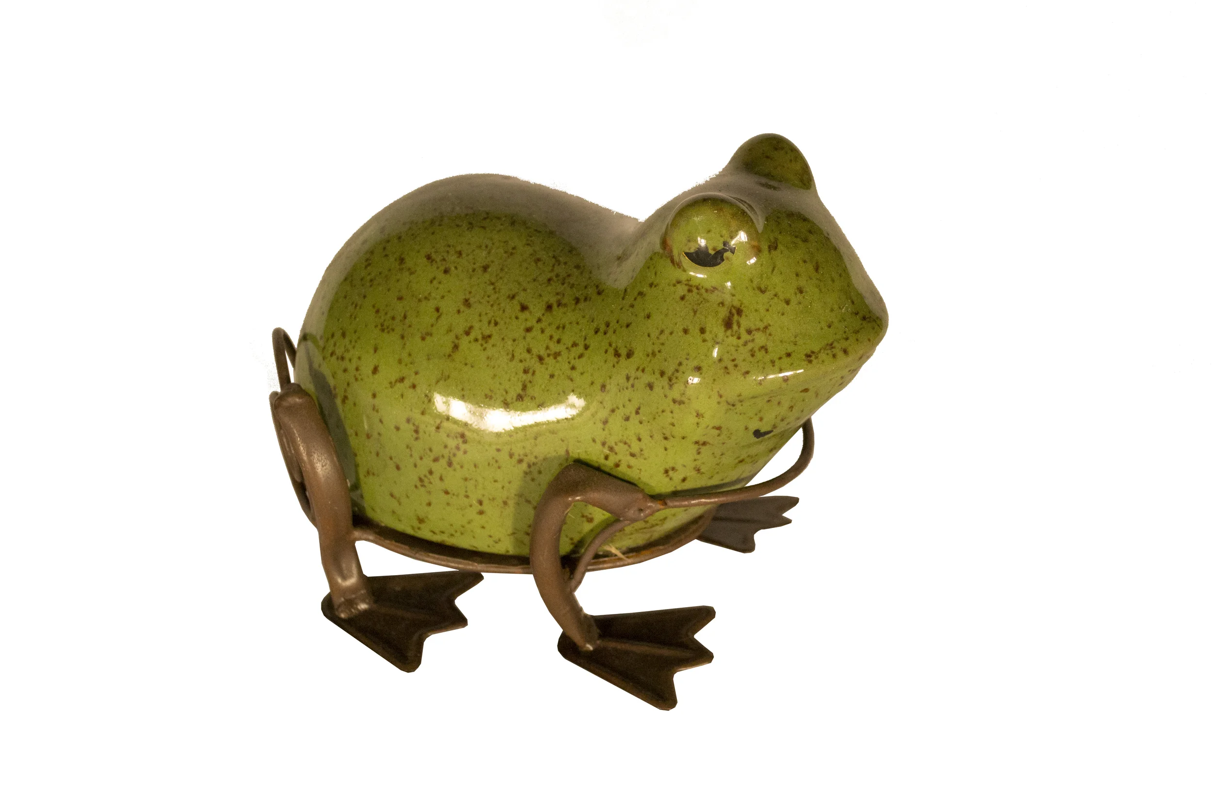 frog1a.jpg