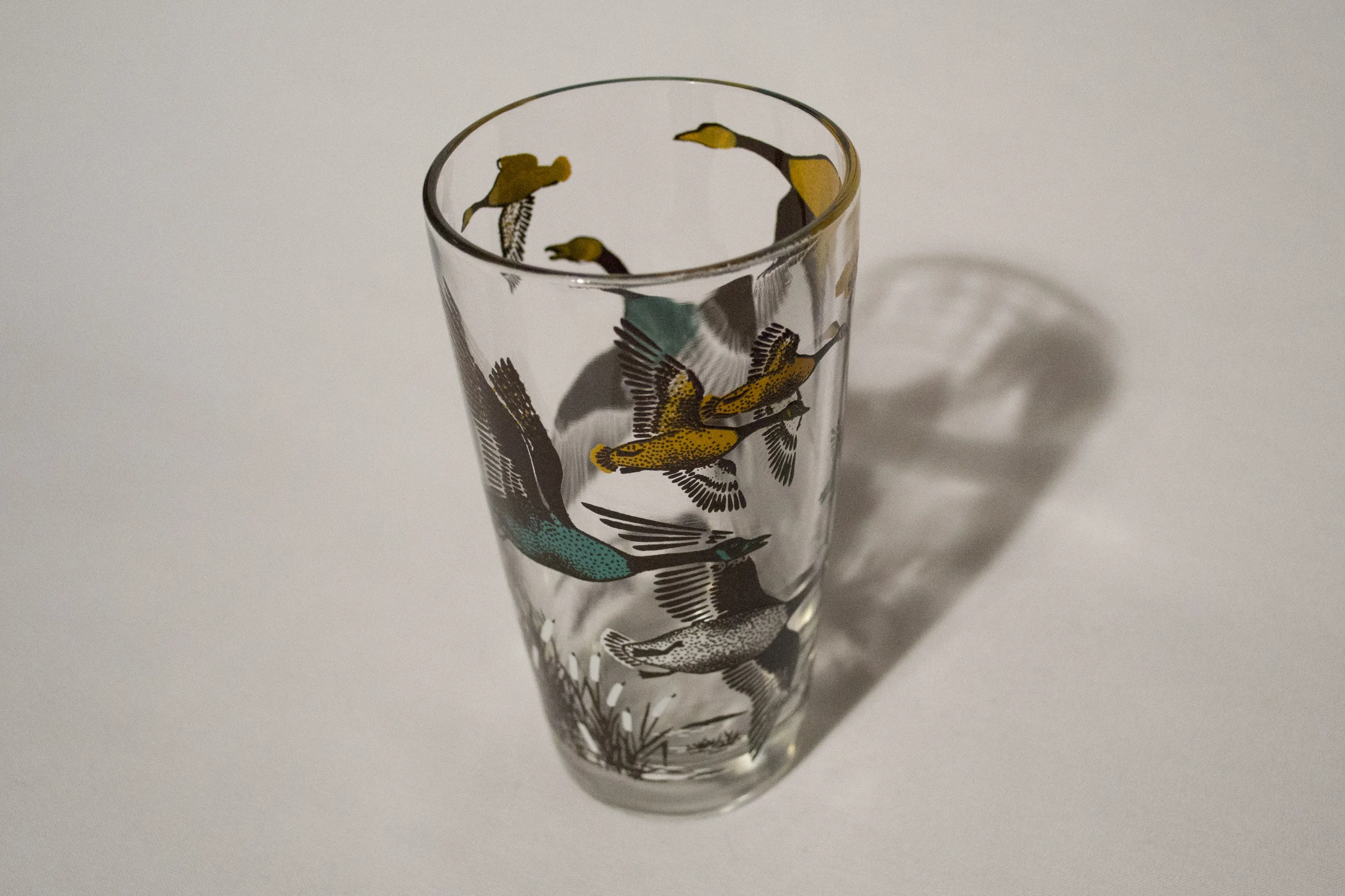 DuckGlass1.jpg