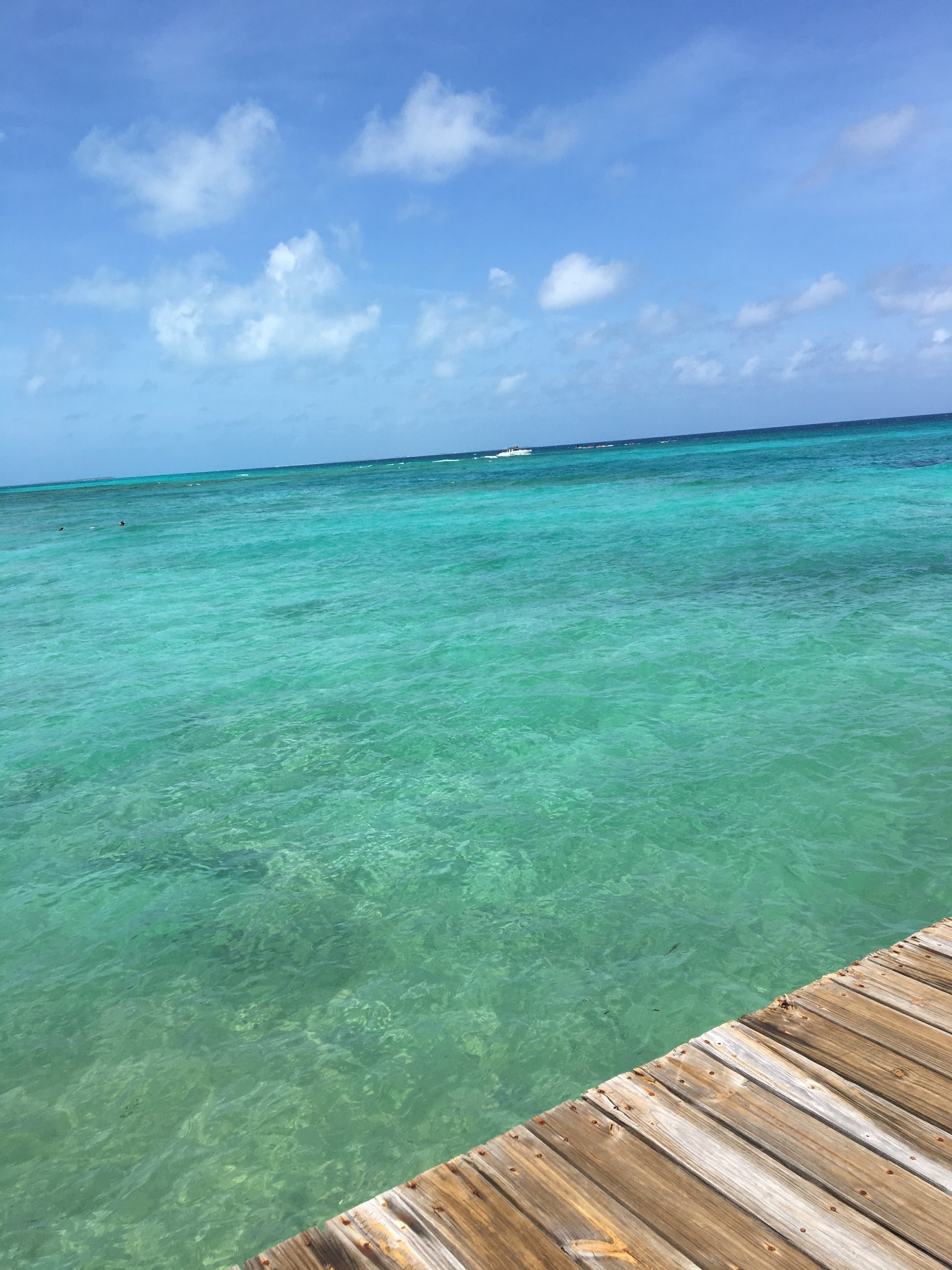 IMG_2206.JPG