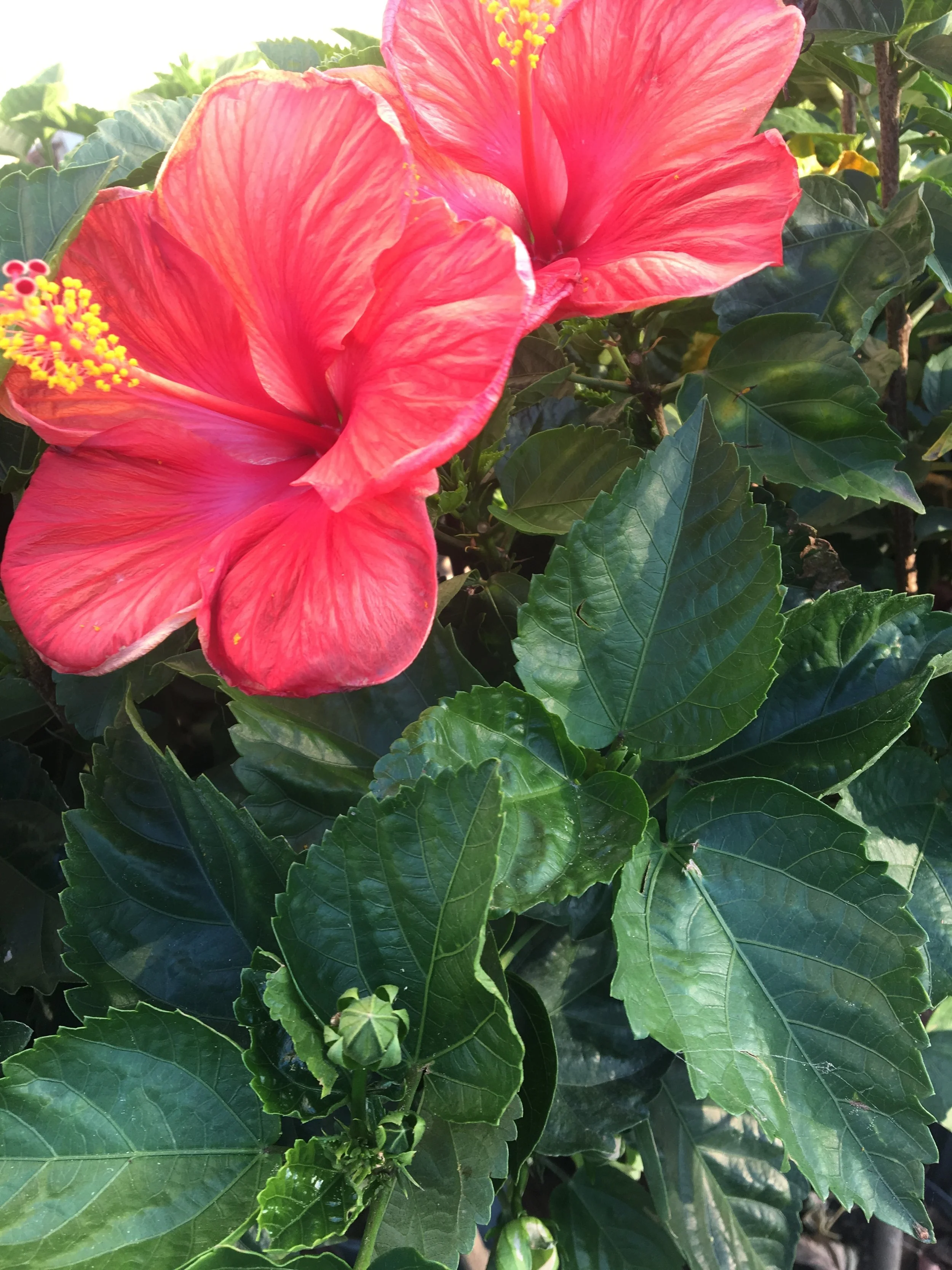 Is it everything I wanted?