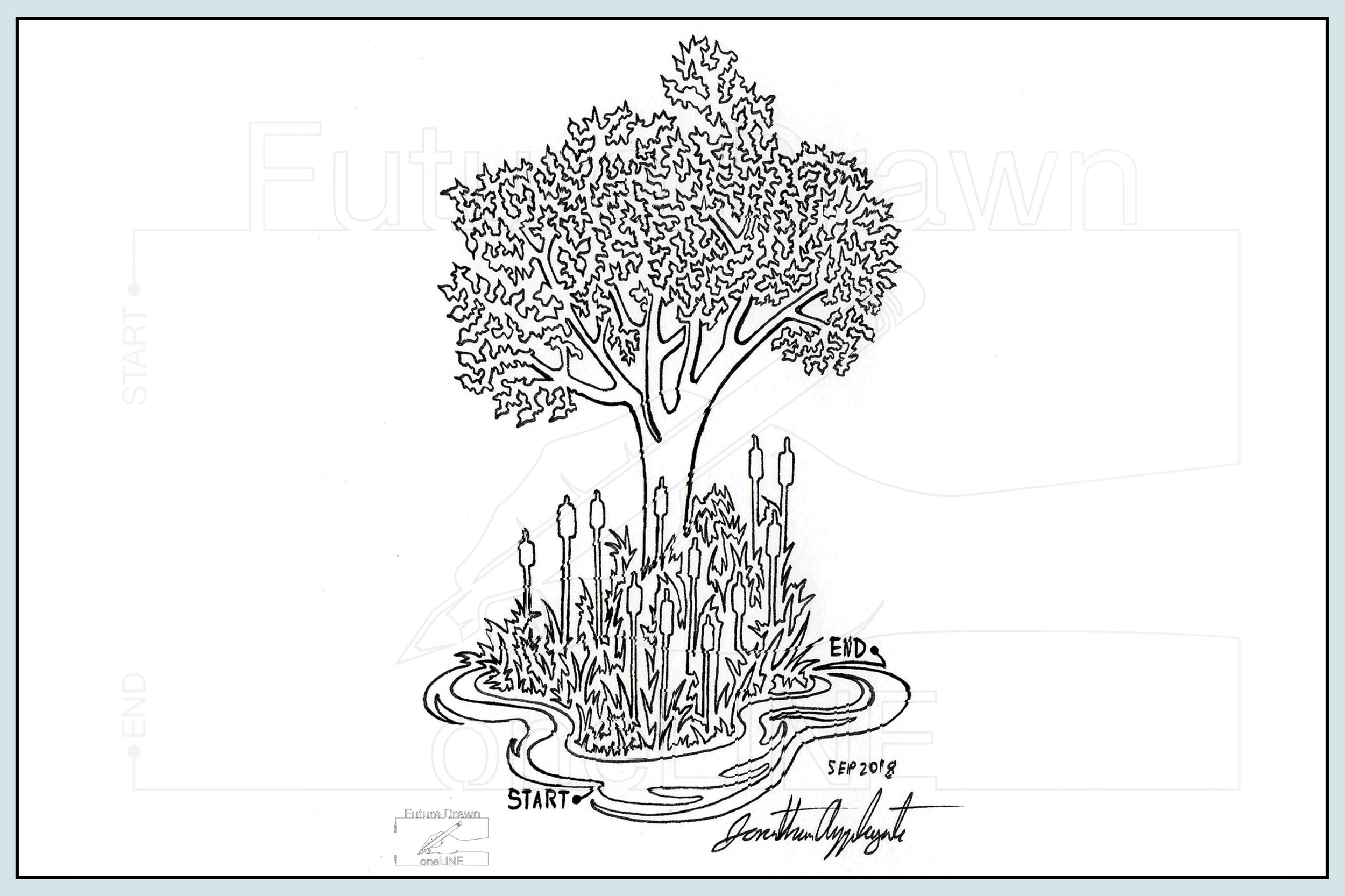 Web- Cattails and tree- oneLINE Future Drawn Applegate.jpg