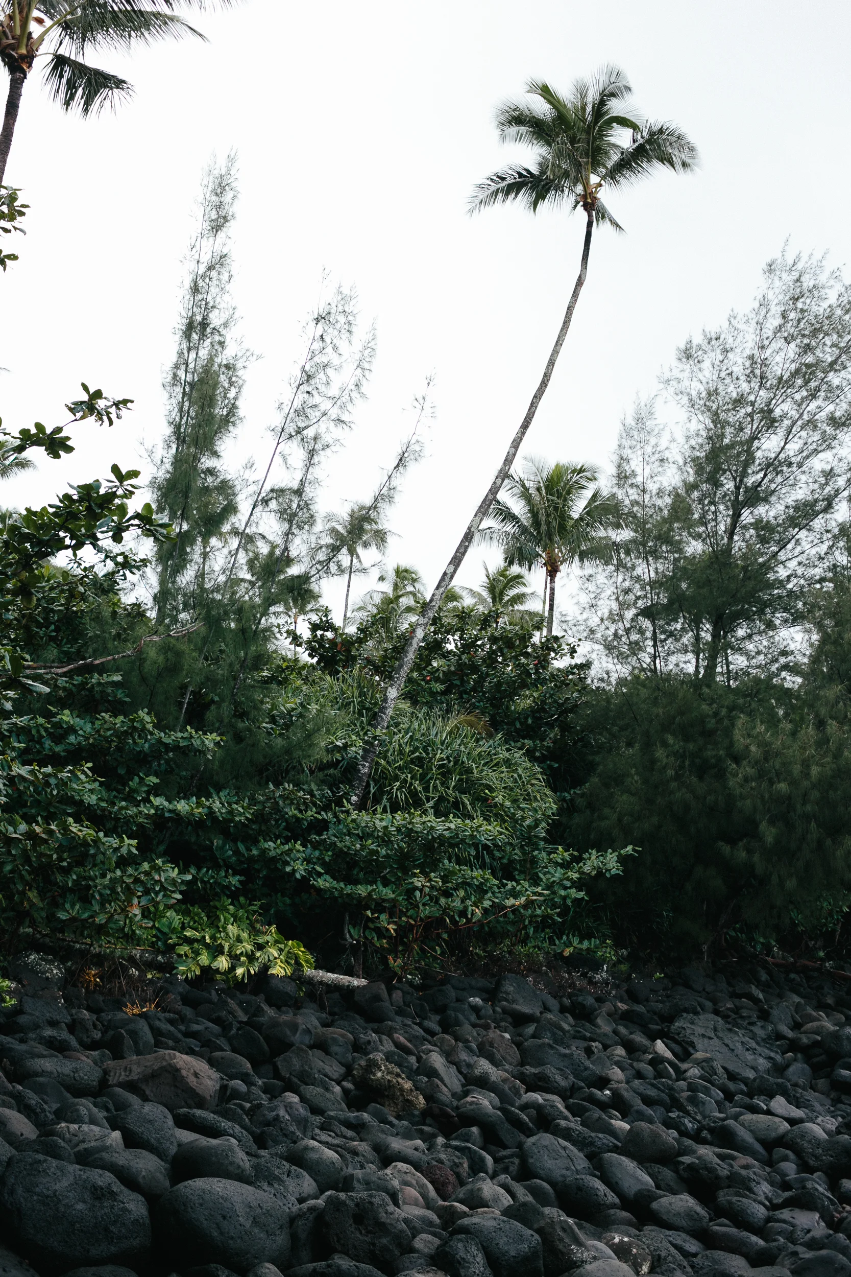 Hawaii - website selects-14.jpg