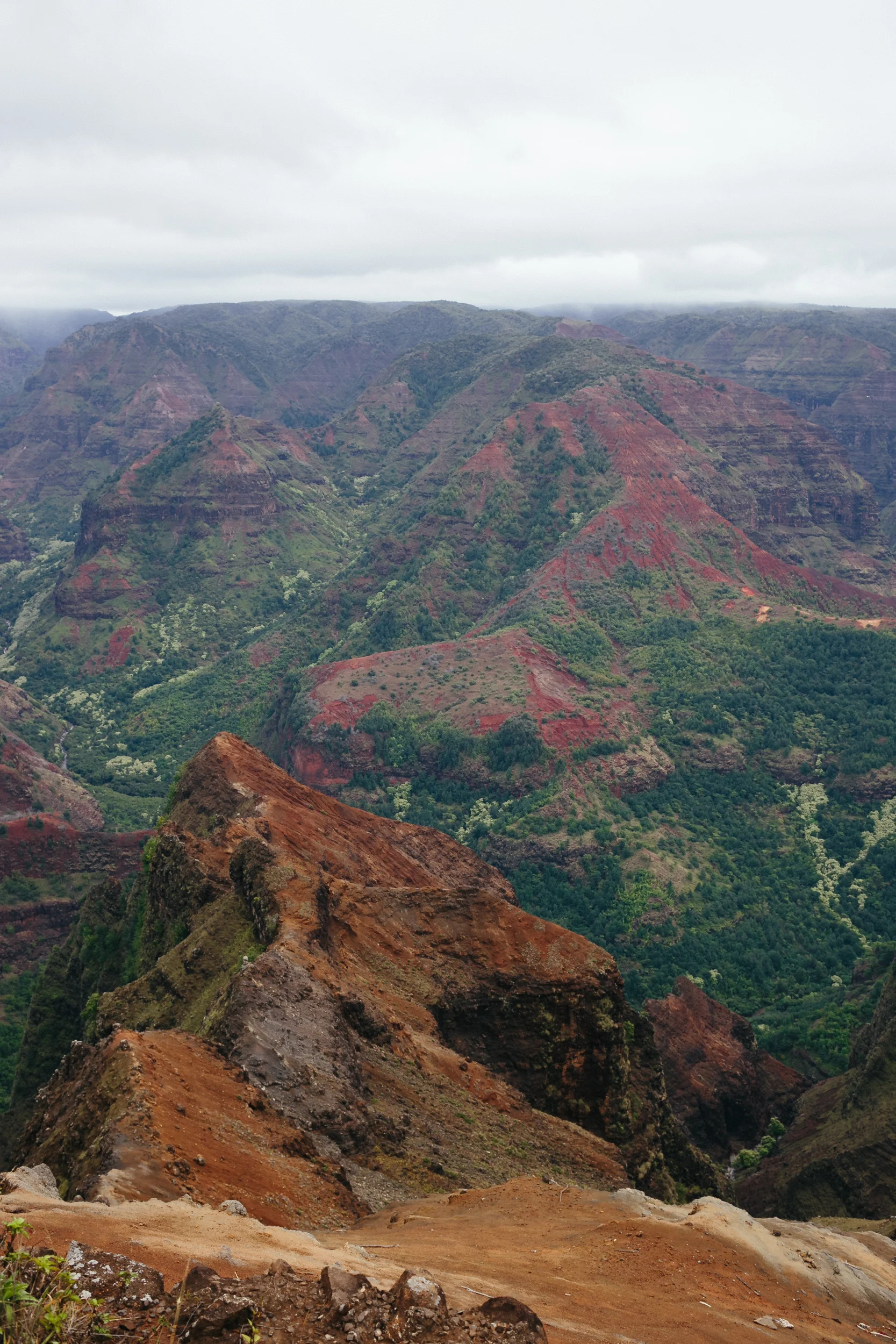 Hawaii - website selects-20.jpg