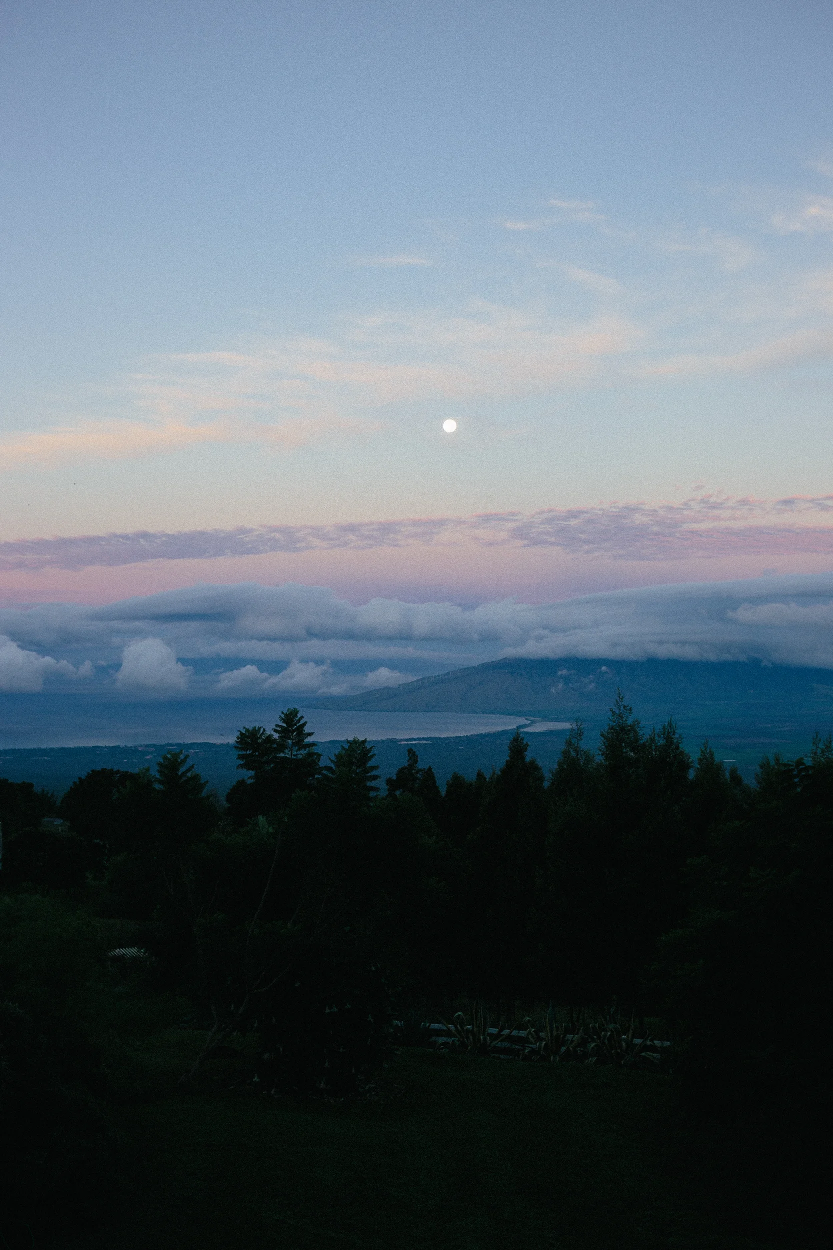 Hawaii - website selects-28.jpg