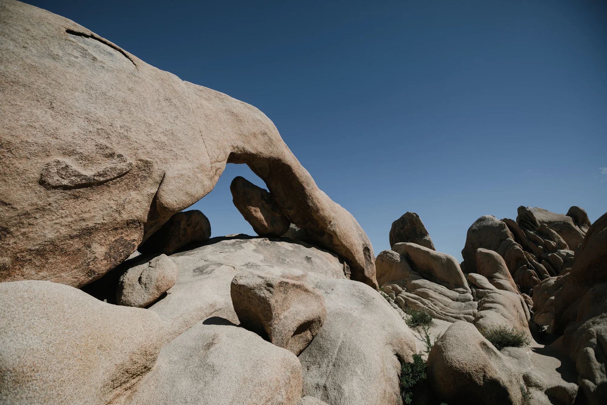 LA and Joshua Tree-5.jpg