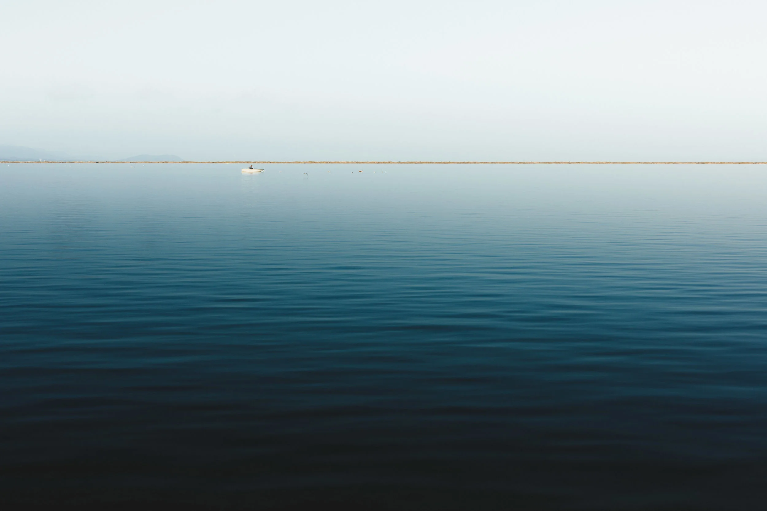 pnw_2015-6X0B8056-Edit.jpg