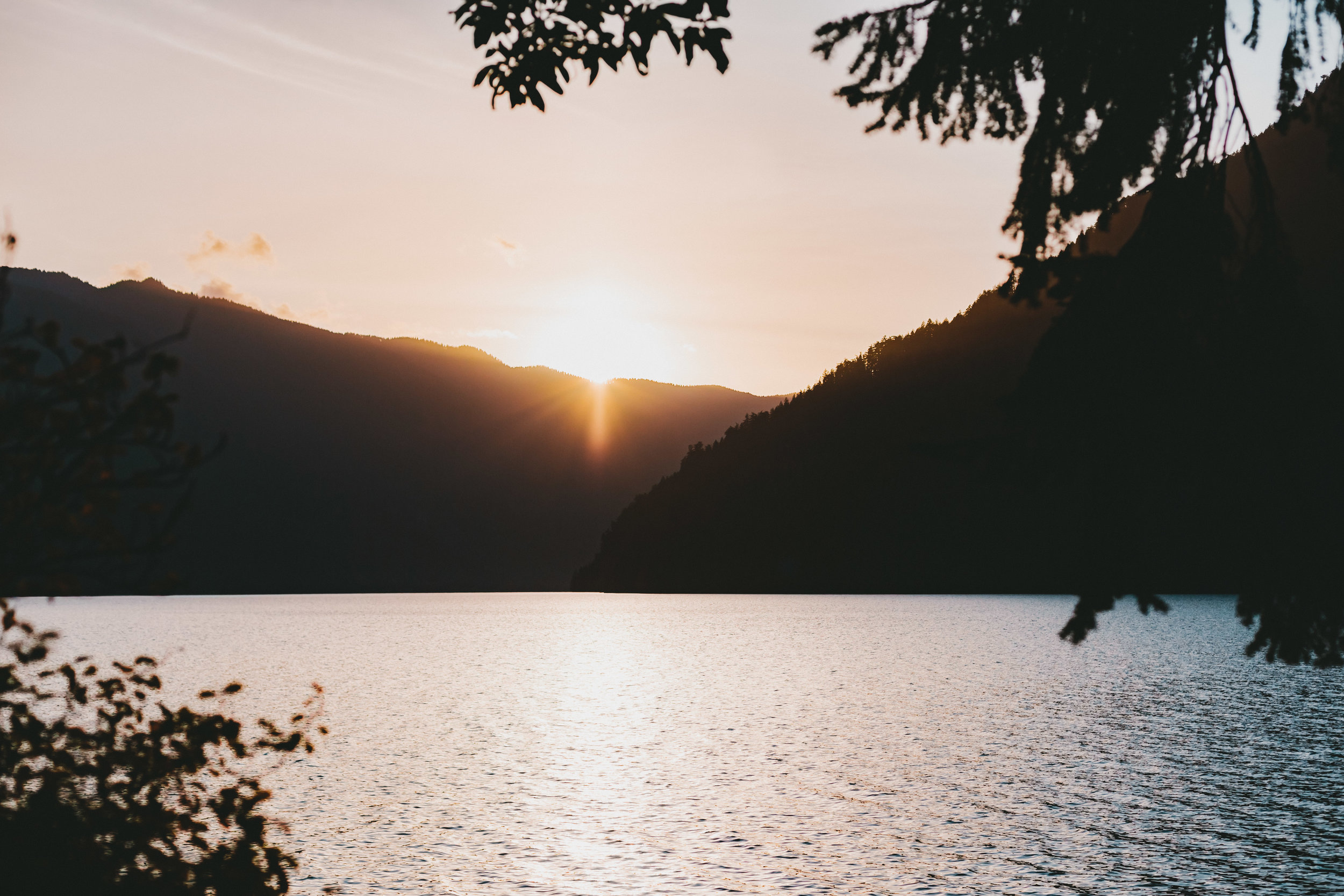 pnw_2015-6X0B8175.jpg