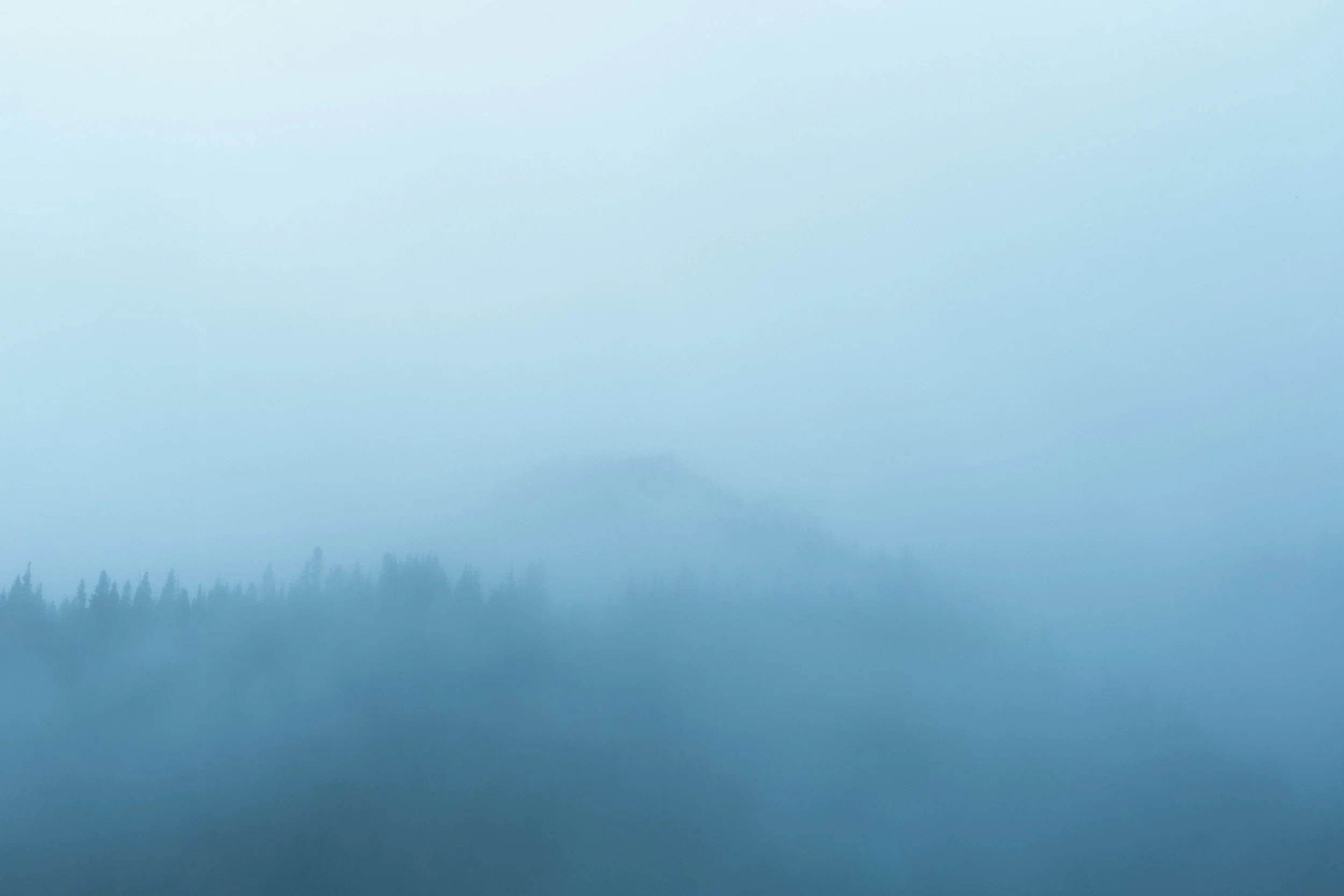 pnw_2015-6X0B8526.jpg