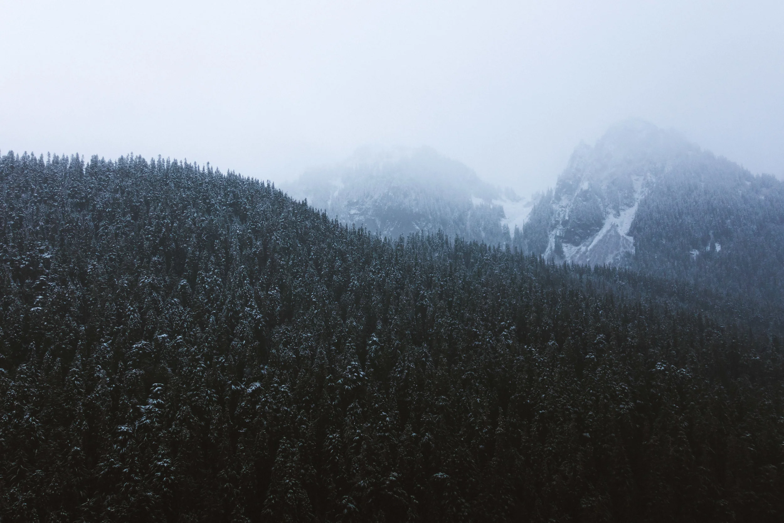 pnw_2015-DSC00916.jpg