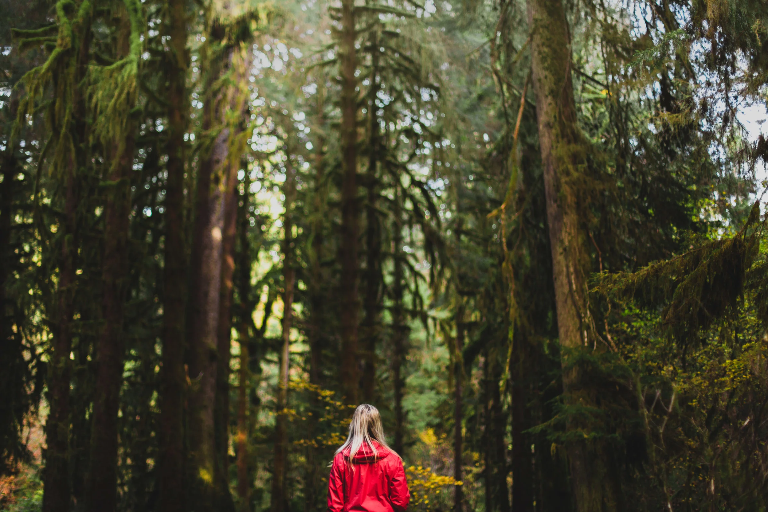 pnw_2015-6X0B8328.jpg