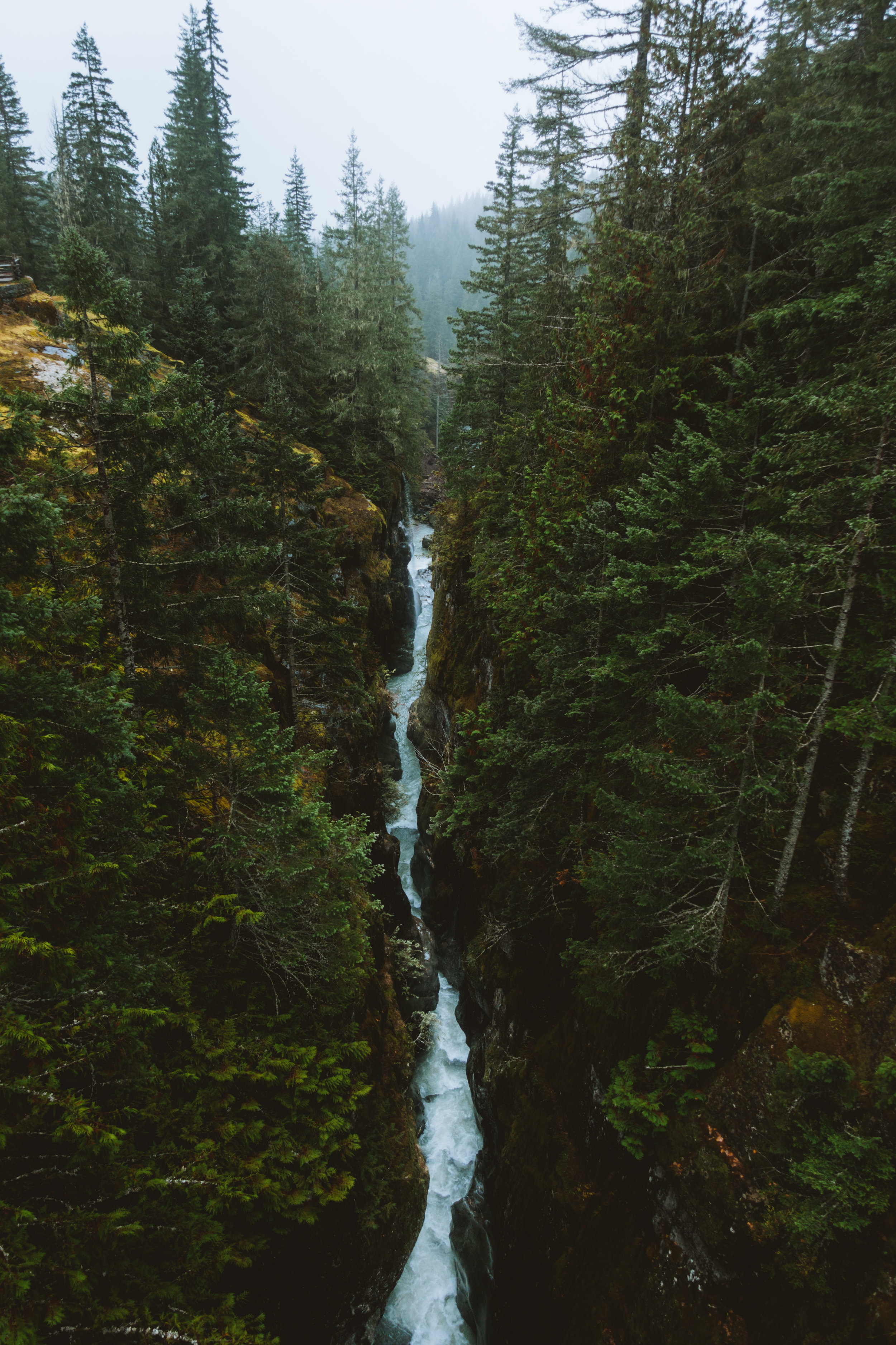 pnw_2015-DSC01029.jpg