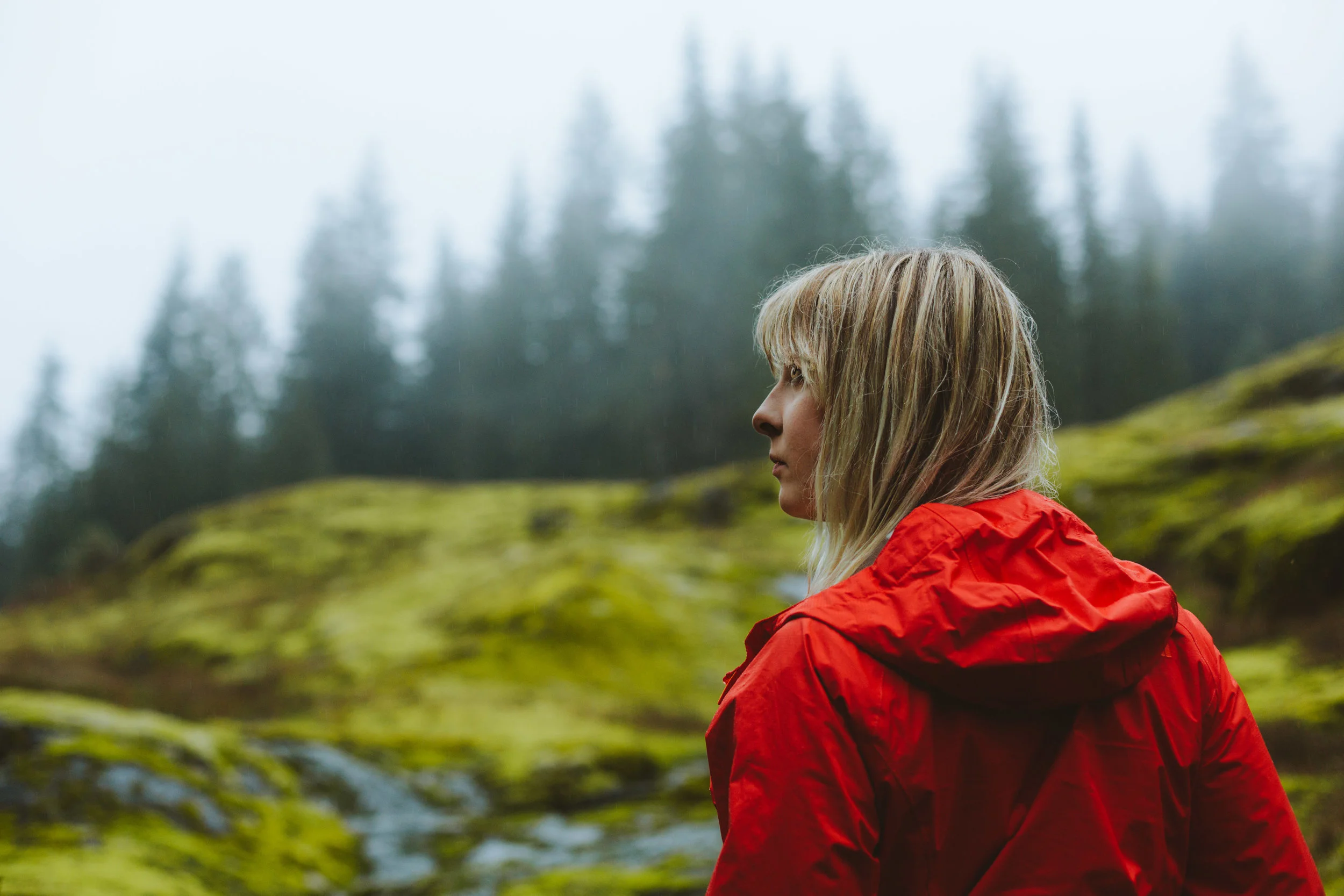 pnw_2015-6X0B8556.jpg