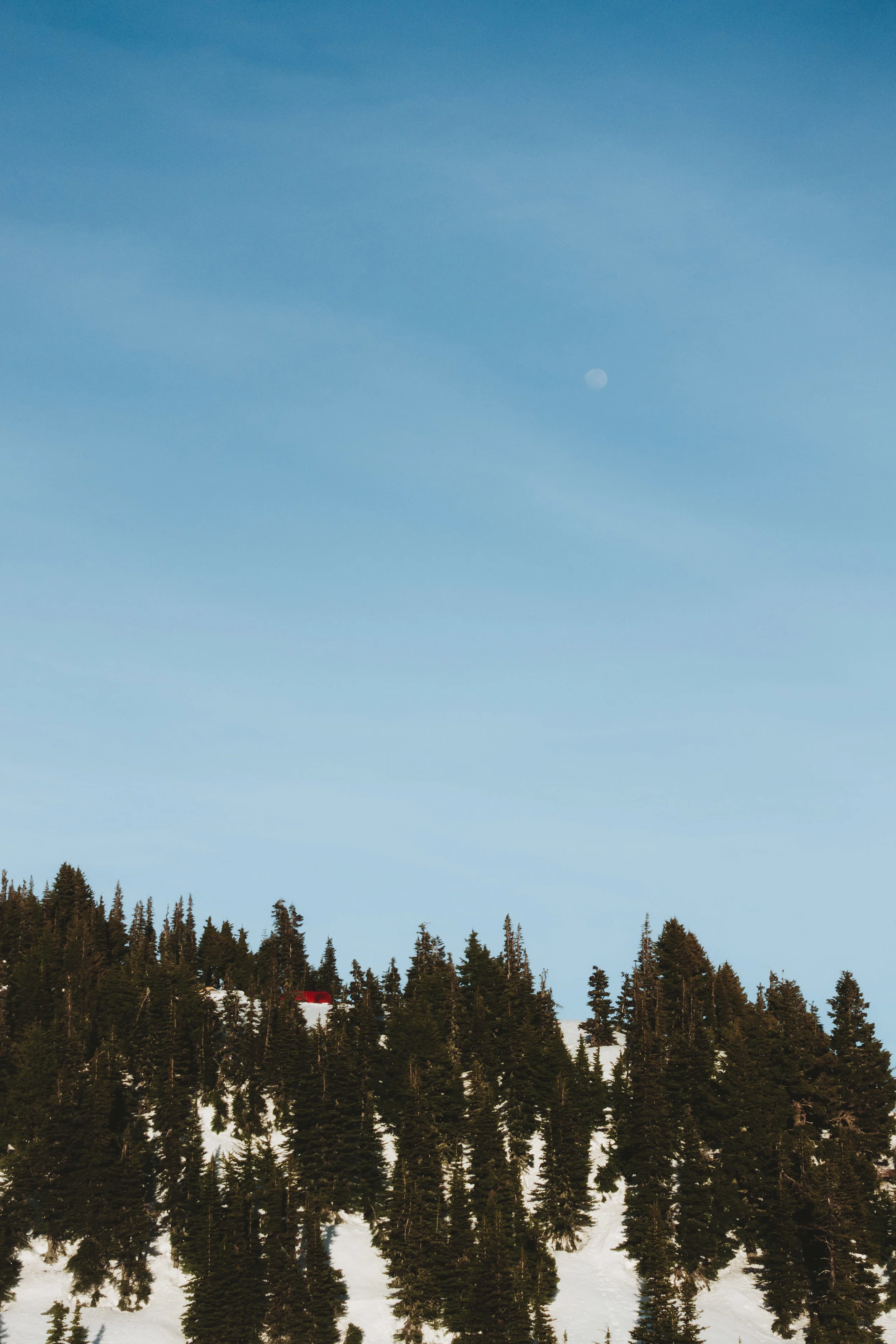 rainier-DSC01907-Edit.jpg