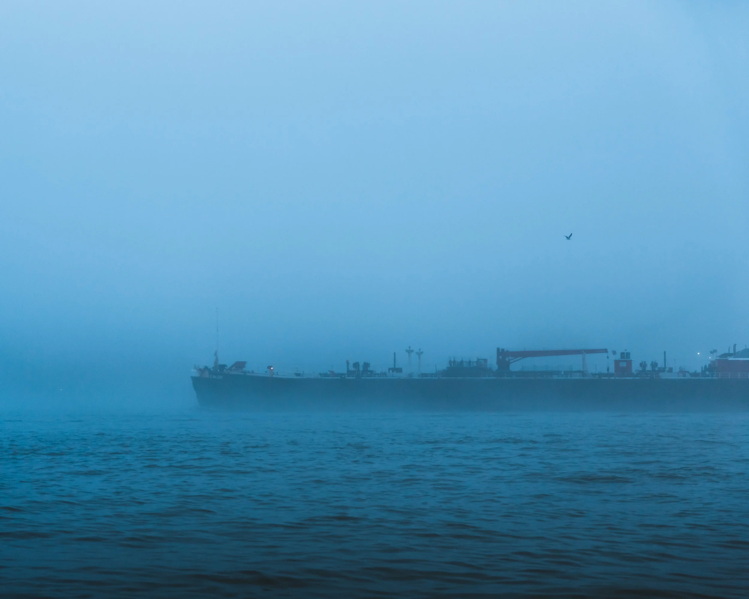 nyc-6X0B7581.jpg