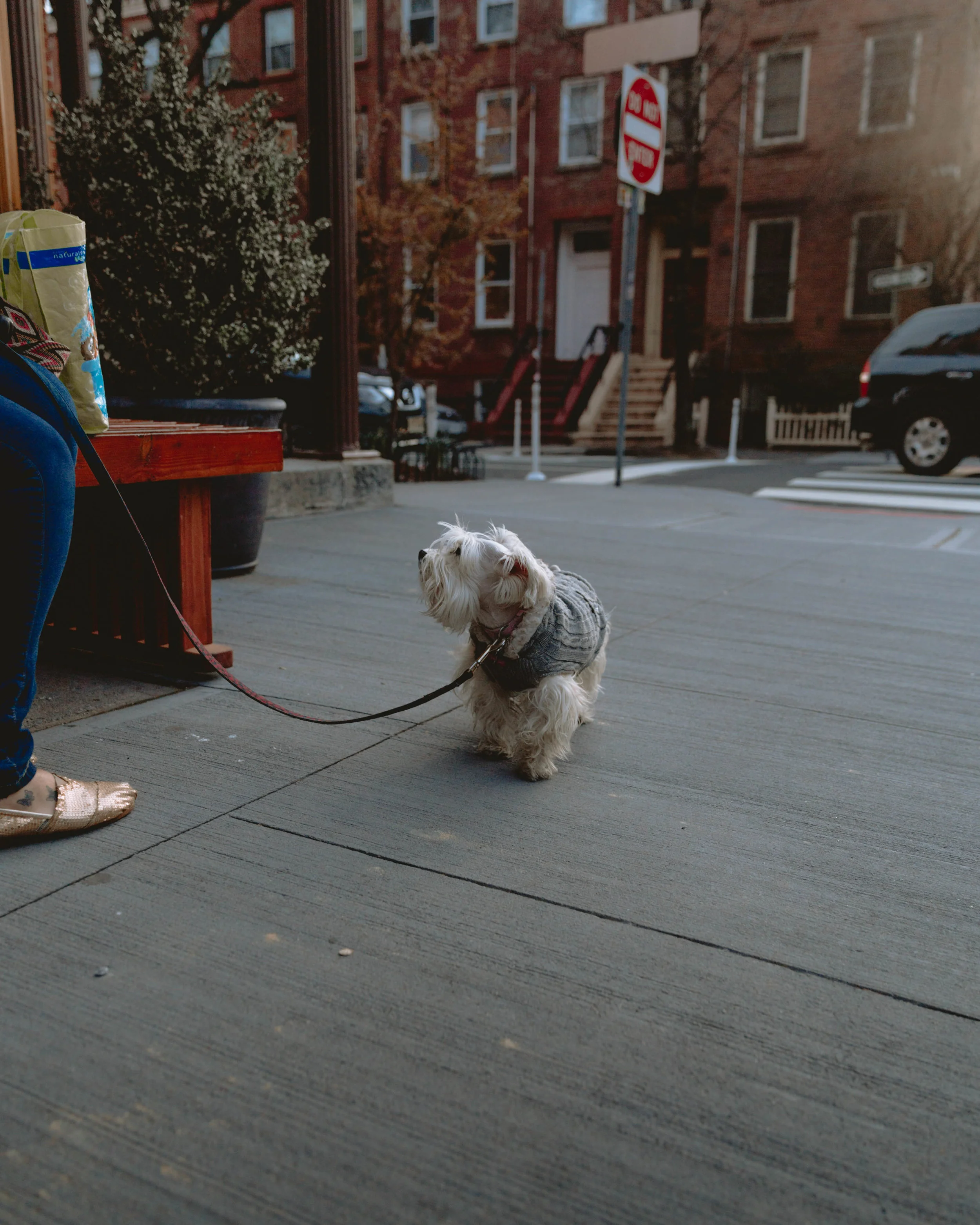 nyc-6X0B7380.jpg