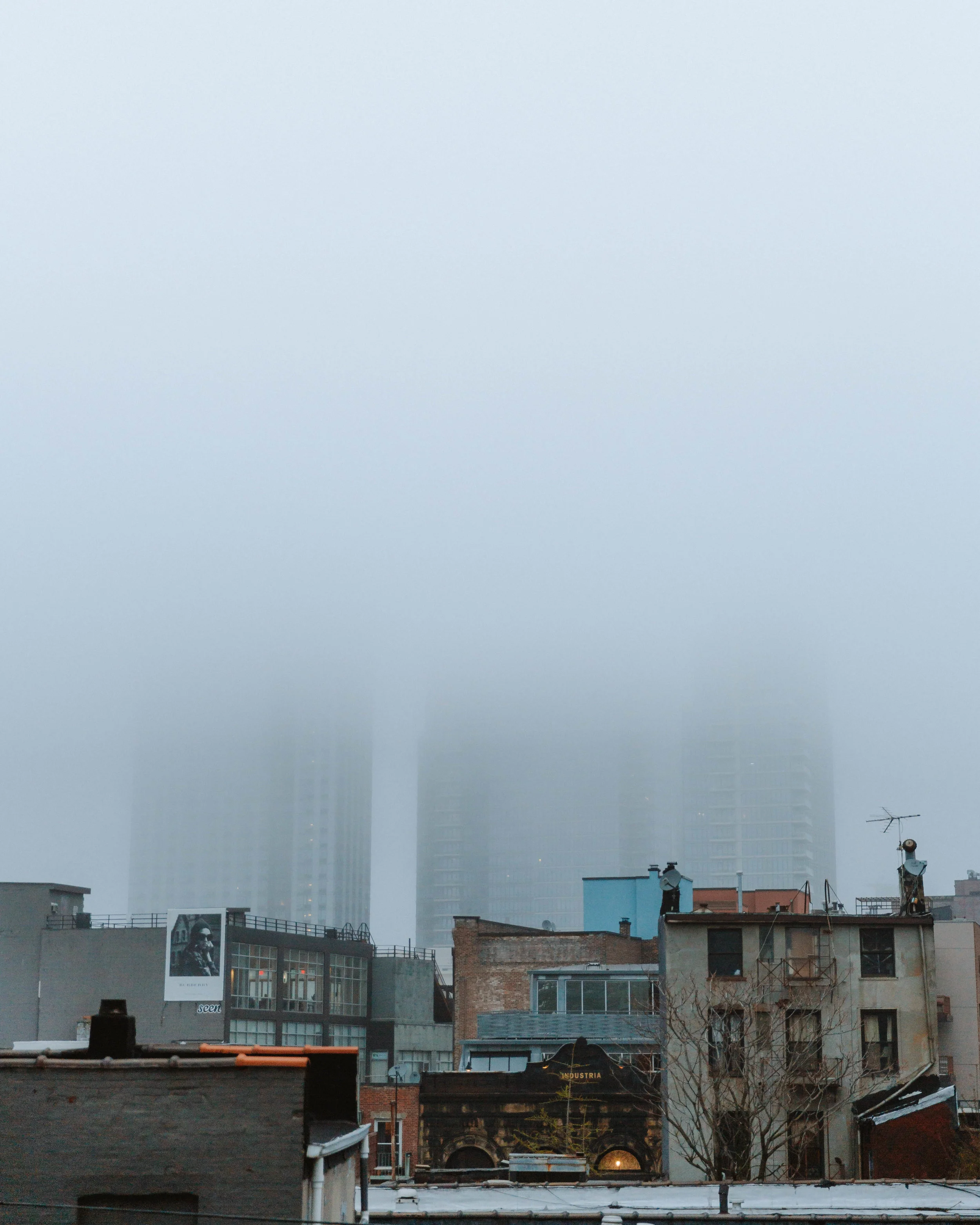nyc-6X0B7545.jpg