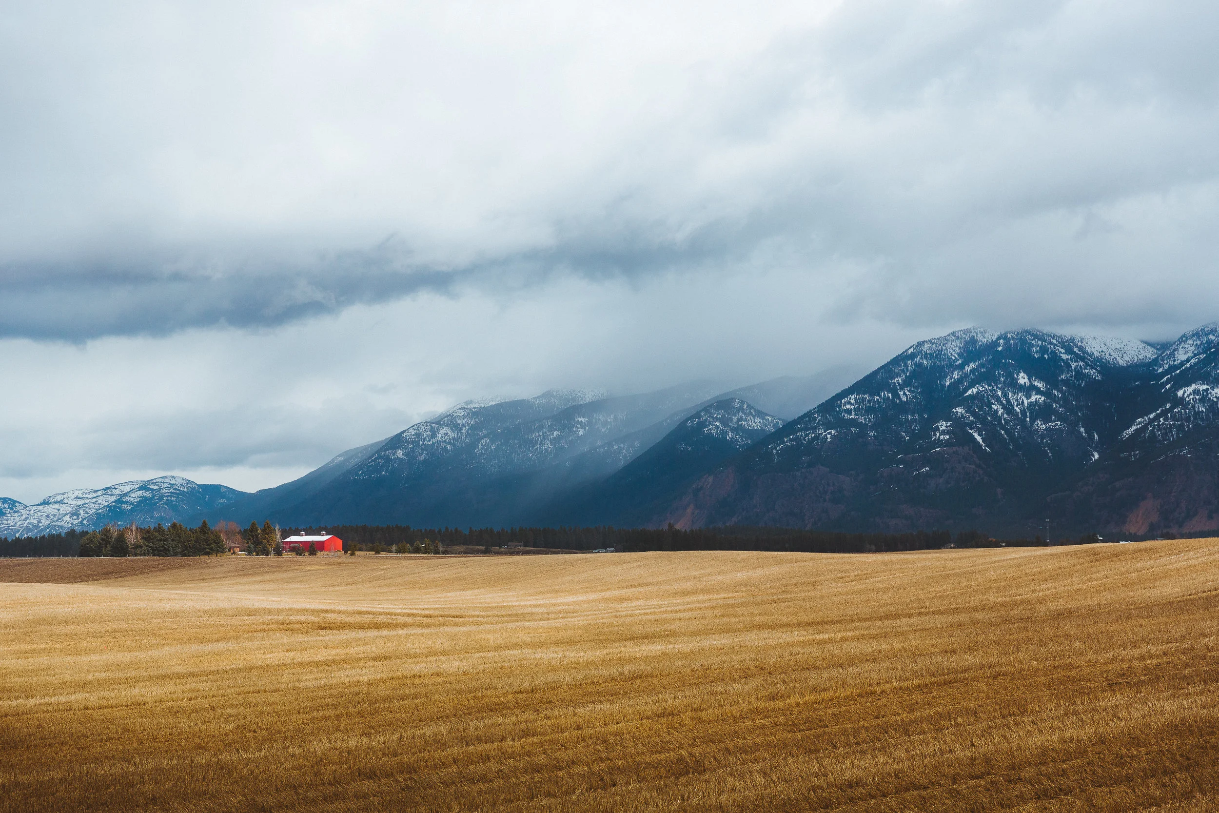 montana-6X0B5108.jpg