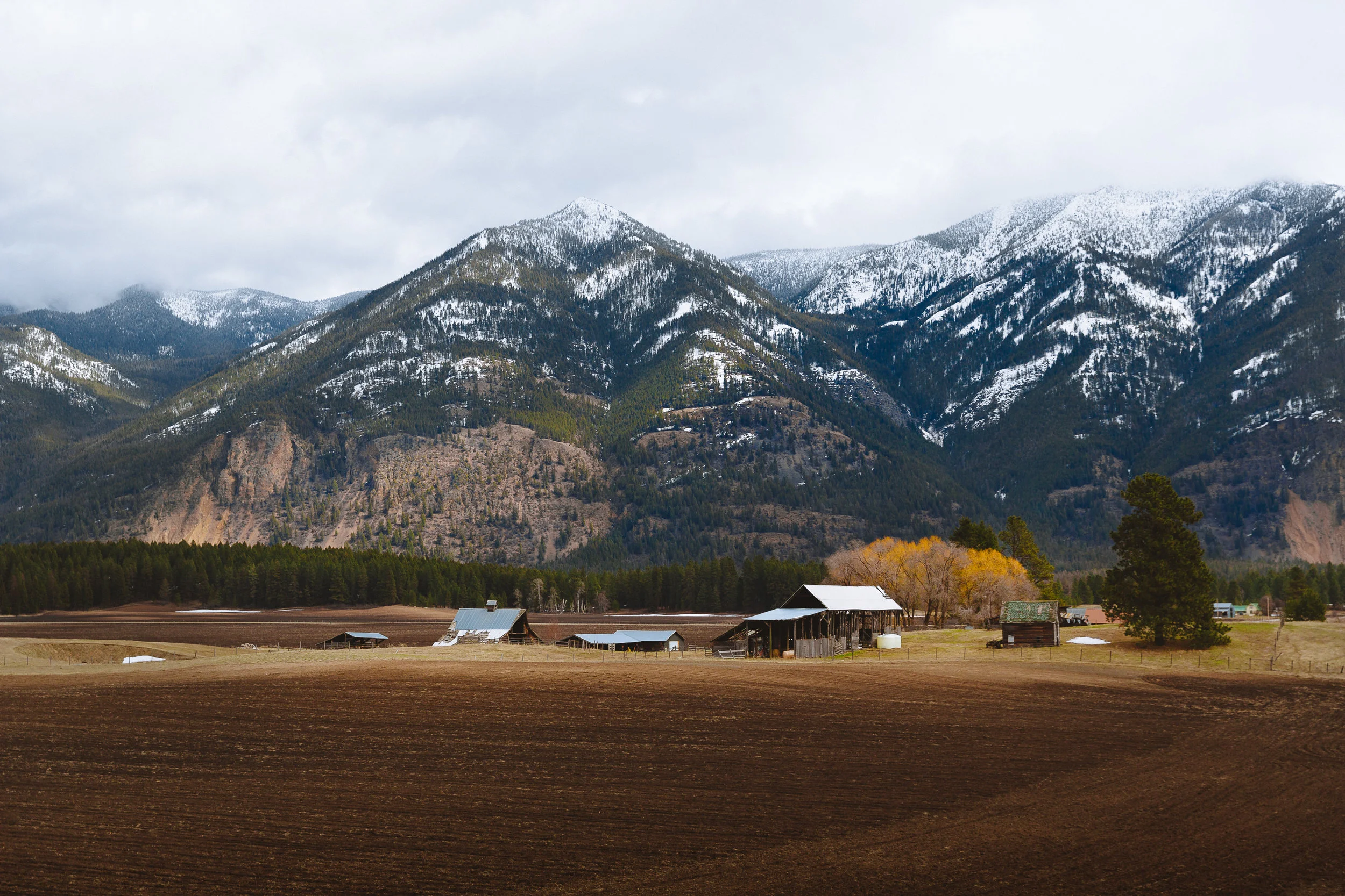 montana-6X0B5218.jpg