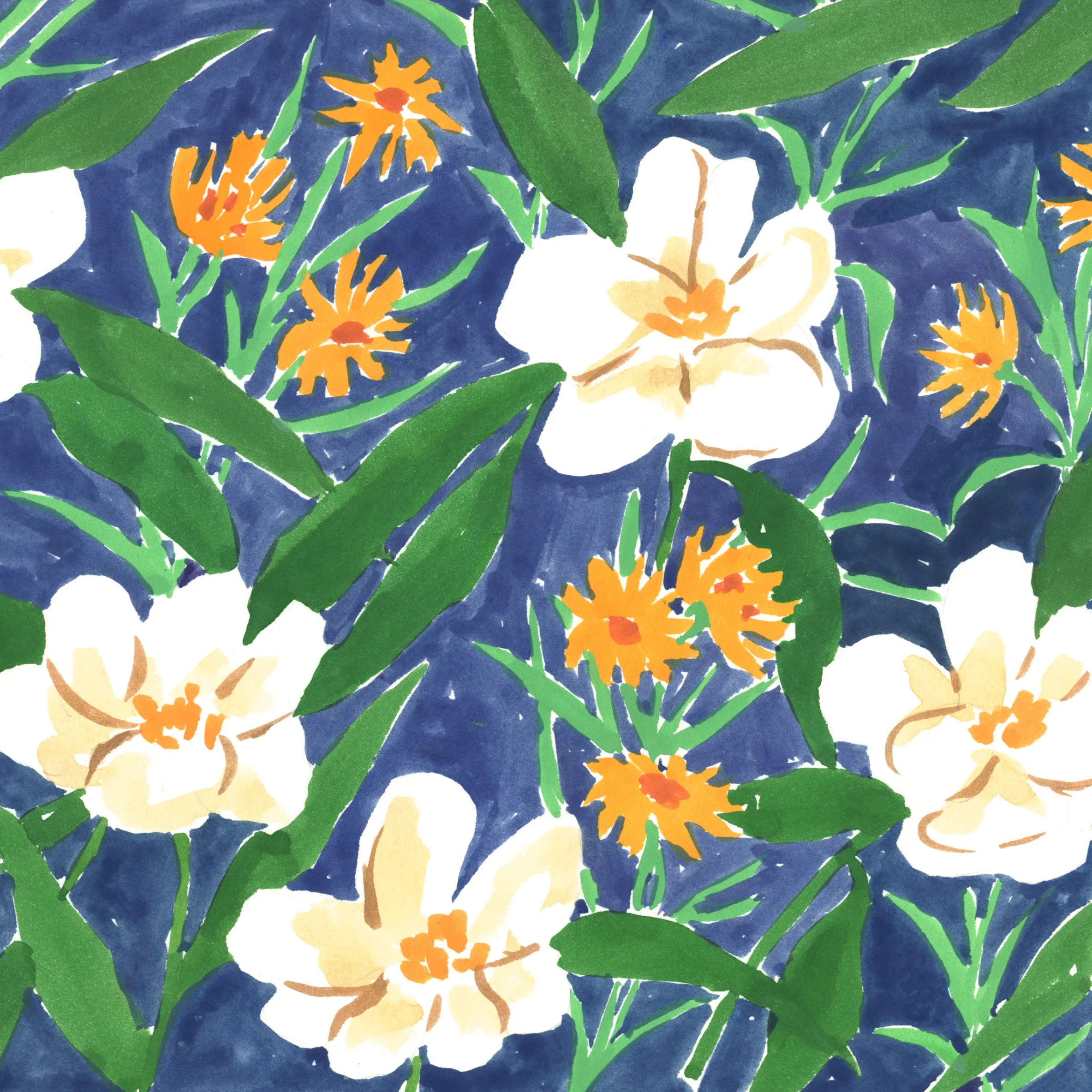 Magnolia.jpg