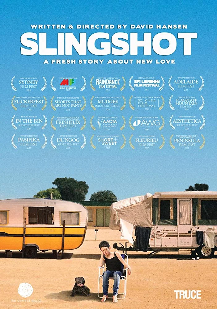 slingshot-poster.jpg