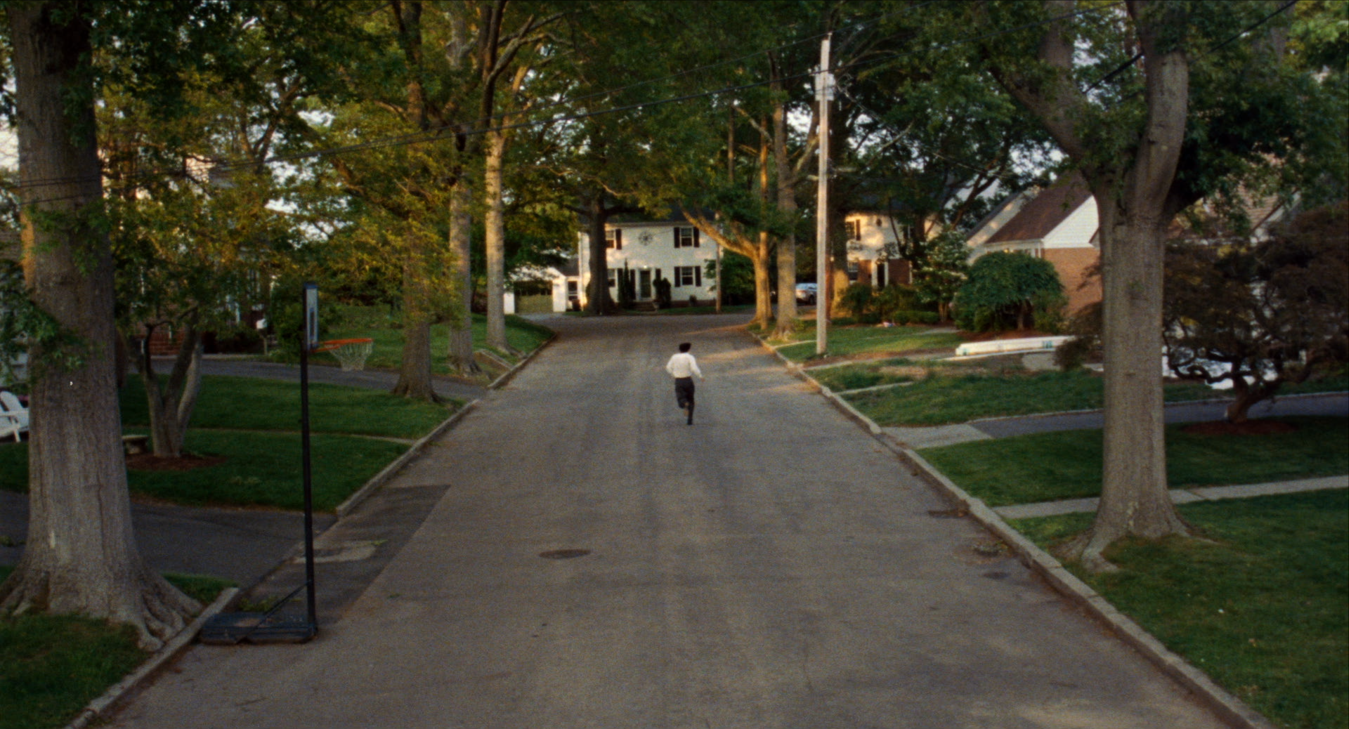 03_ANIMA_FINAL CUT_030426_MUSIC_VFX_GFX_ADR_185_CONFORM_01574104.png