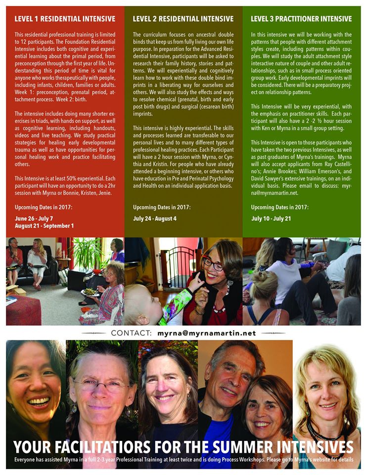Summer Pre & Perinatal Intensive 2017