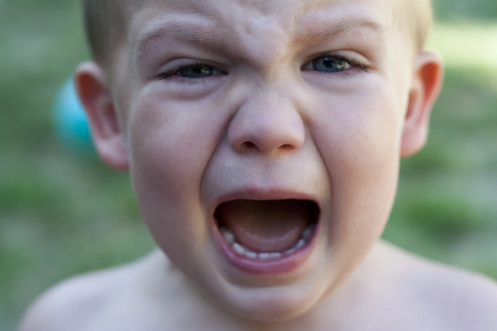 toddlergack.jpg