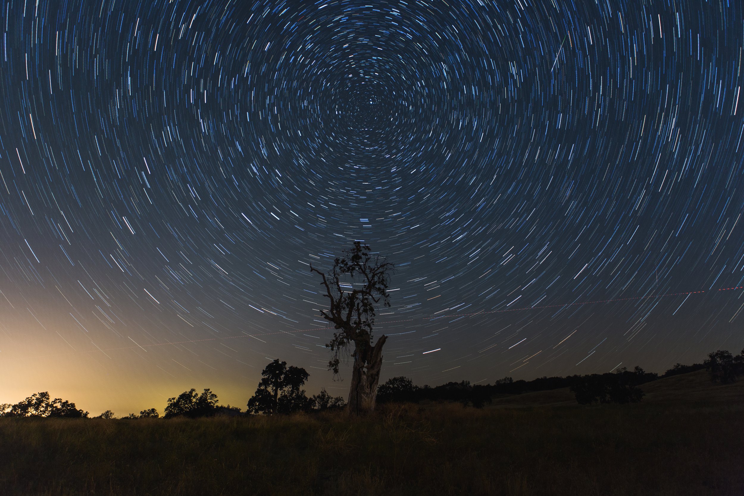 Tree Star Trail Final.jpg