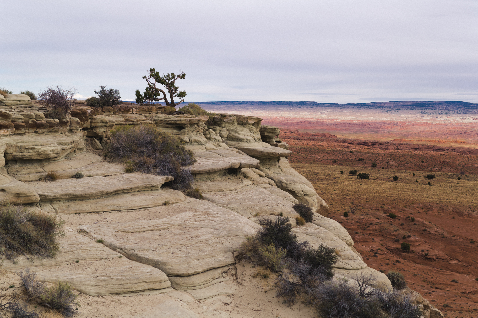 Utah Drive Day-20.jpg