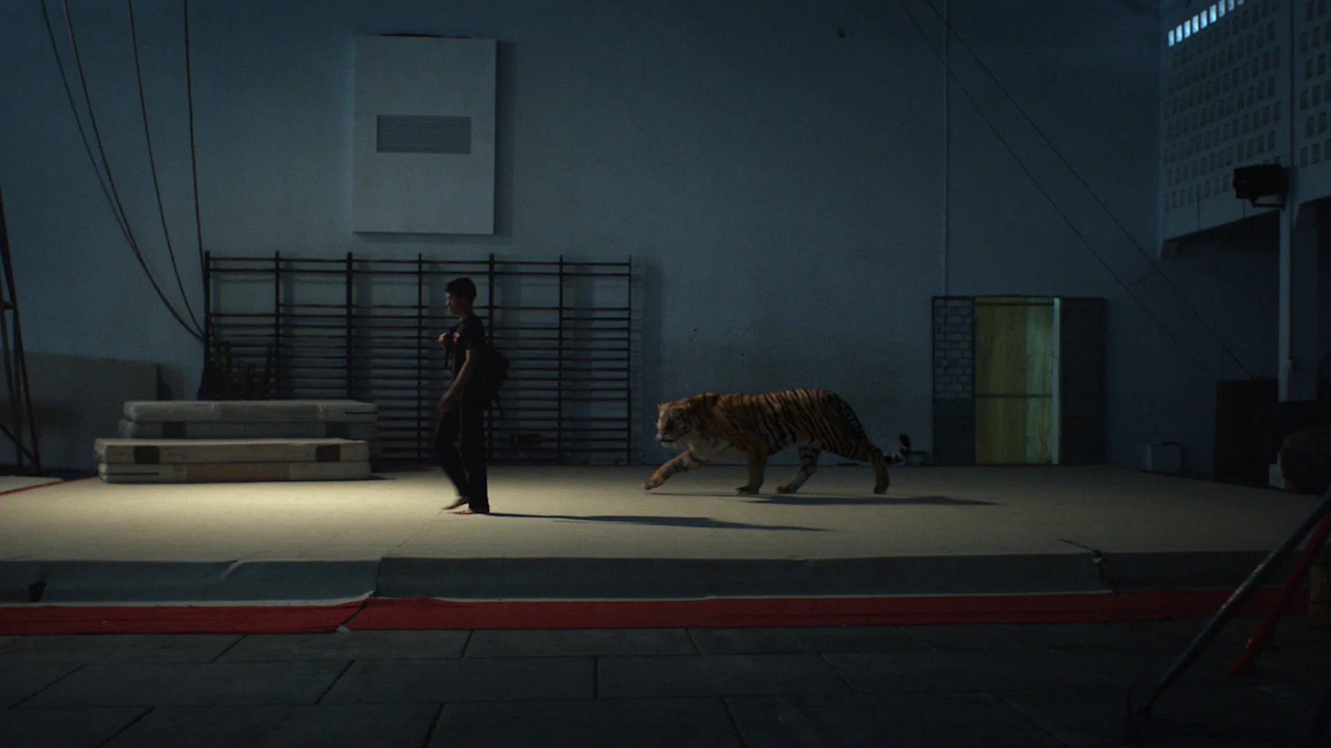 tiger.jpg