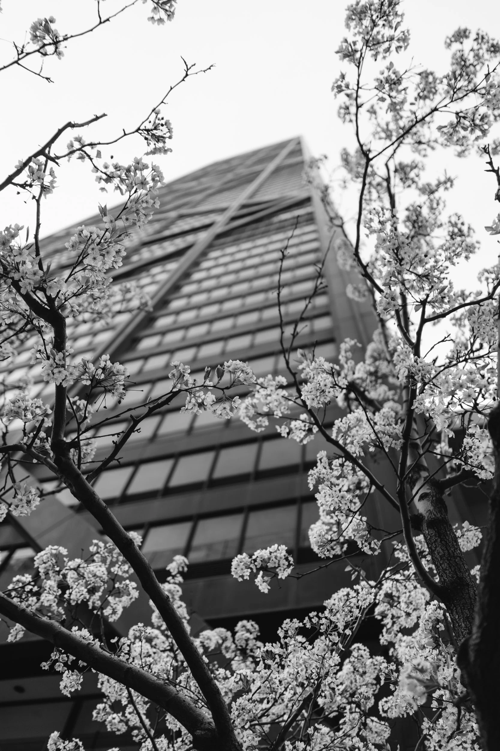 "Change" - Chicago, IL. 2016