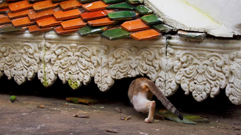 First Impressions of Phnom Penh