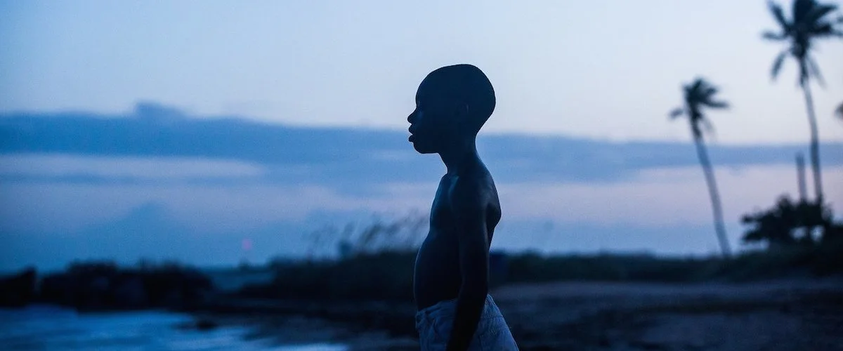 In Moonlight Black Boys Look Blue was the original source of the film's material, a play about a black gay man coming to age that happened to be set in the same projects that the playwright Tarell Alvin McCraney, and the director Barry Jenkins grew up in: the Liberty Square public housing in Miami.