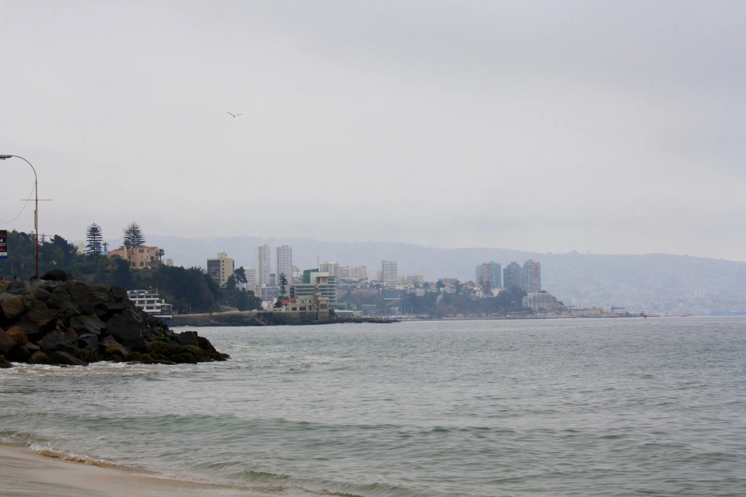 Viña 5.jpg