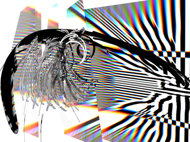 DAMNBIRD_FRACTURE_SMALL.jpeg