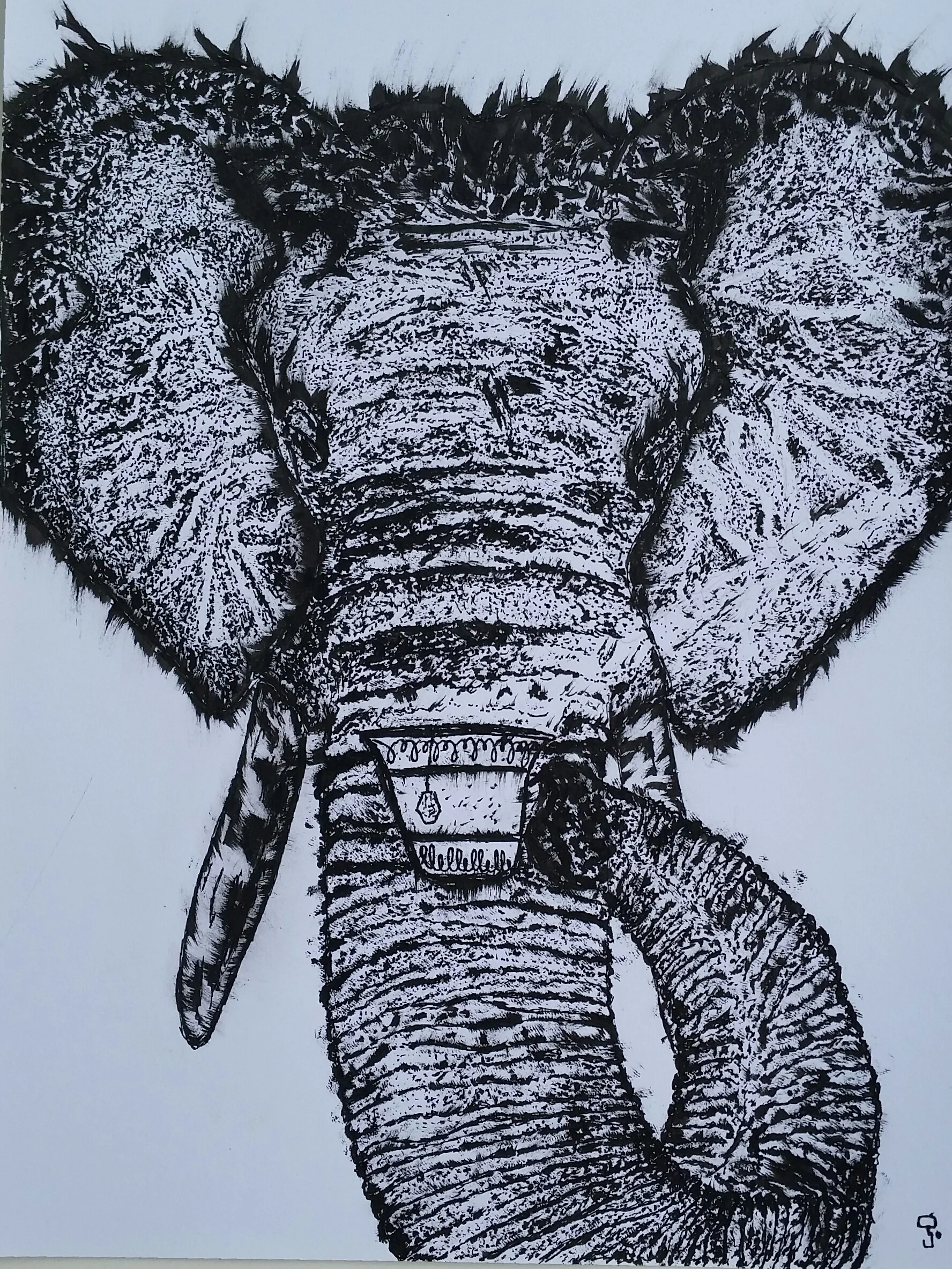 An_elephant_drinking_tea.jpg-2.jpg