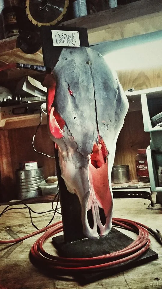 Mario’s guitar amp “head,” made from the skull of a cow, Lazarus.