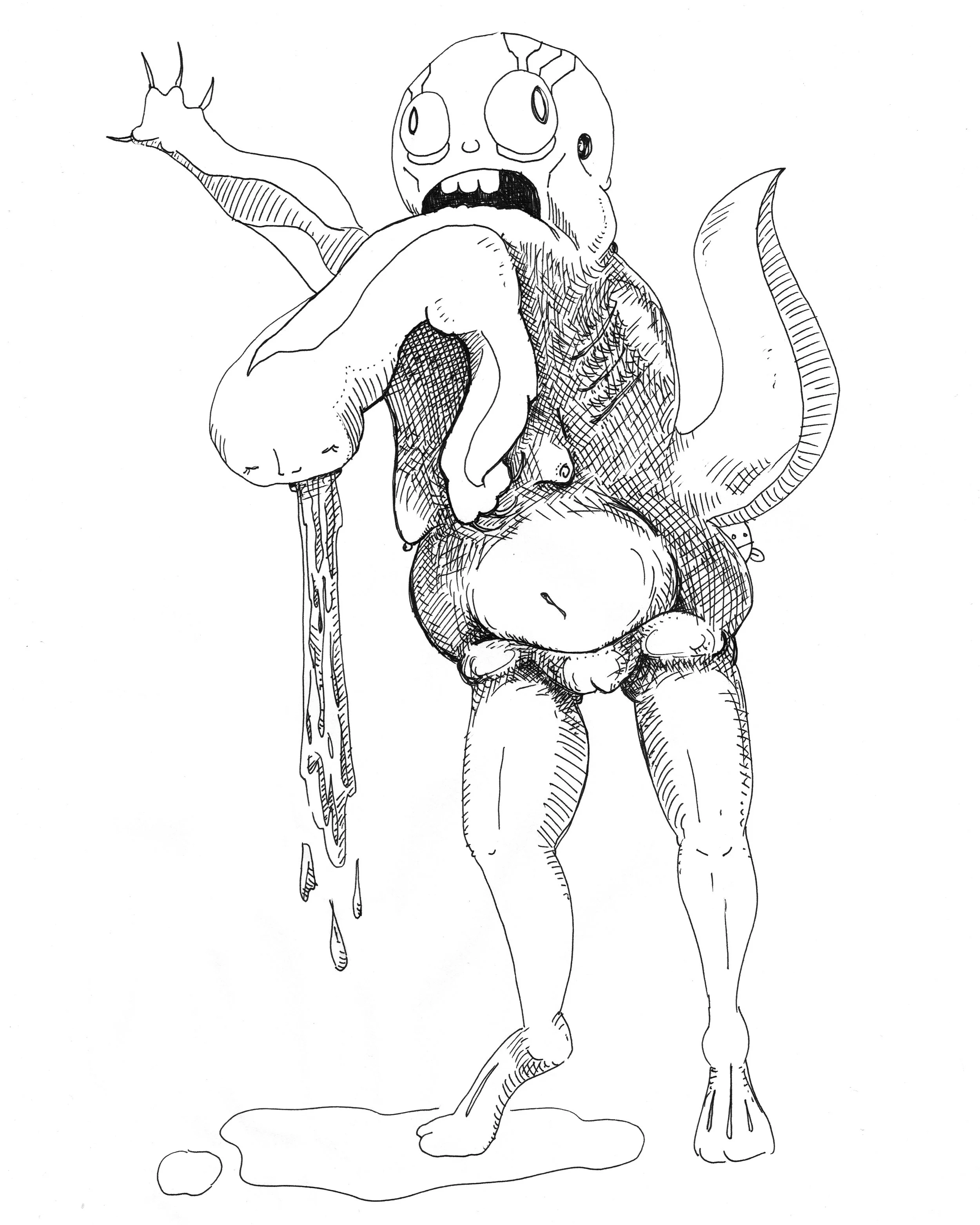 hork.jpg