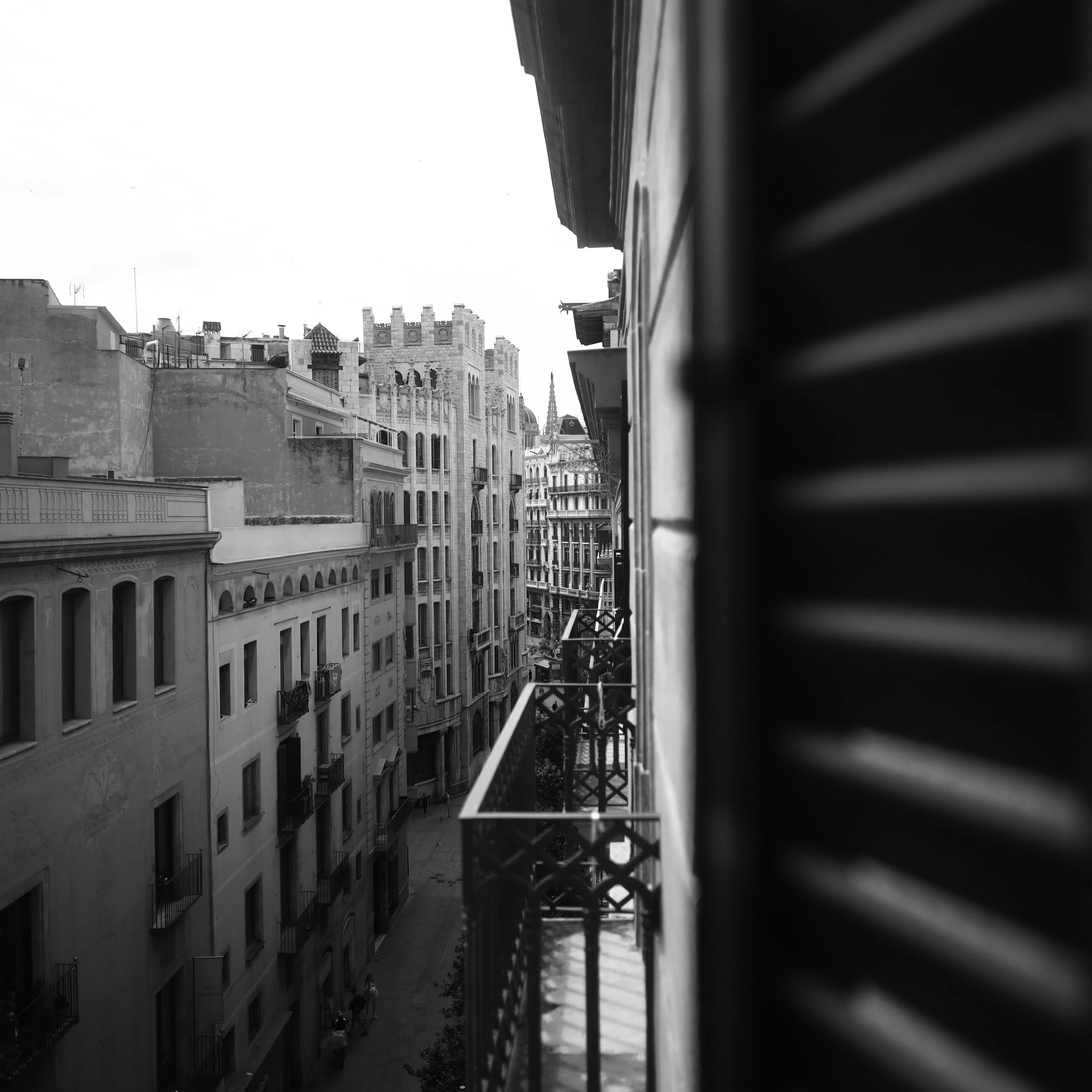 496A9844.JPG