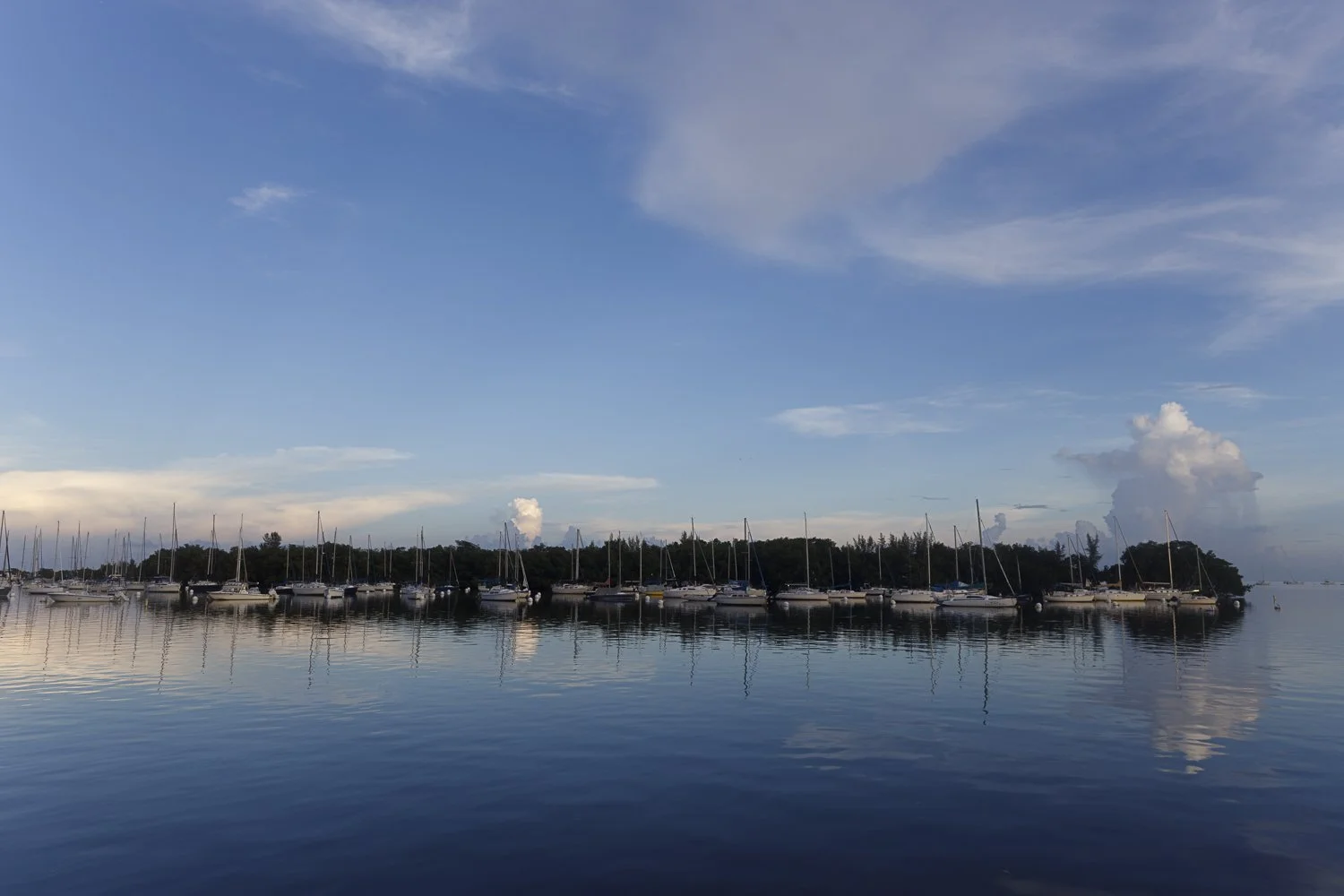 496A8660.jpg