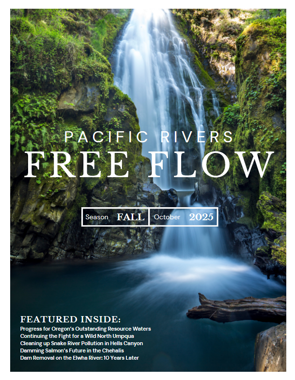 Blog- Fly Fishing Feels Good — Mozilla Firefox 3_1_2026 12_58_00 PM.png