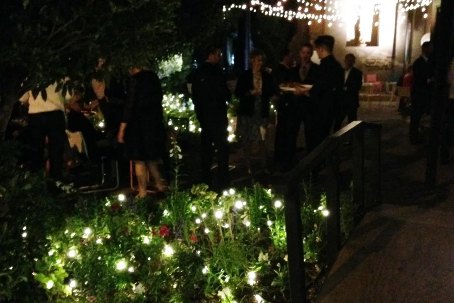 garden at night.jpg