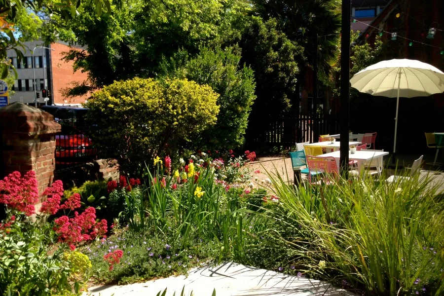 garden full.jpg