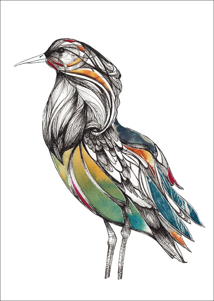 'Elegant Ella' Bird Illustration Series